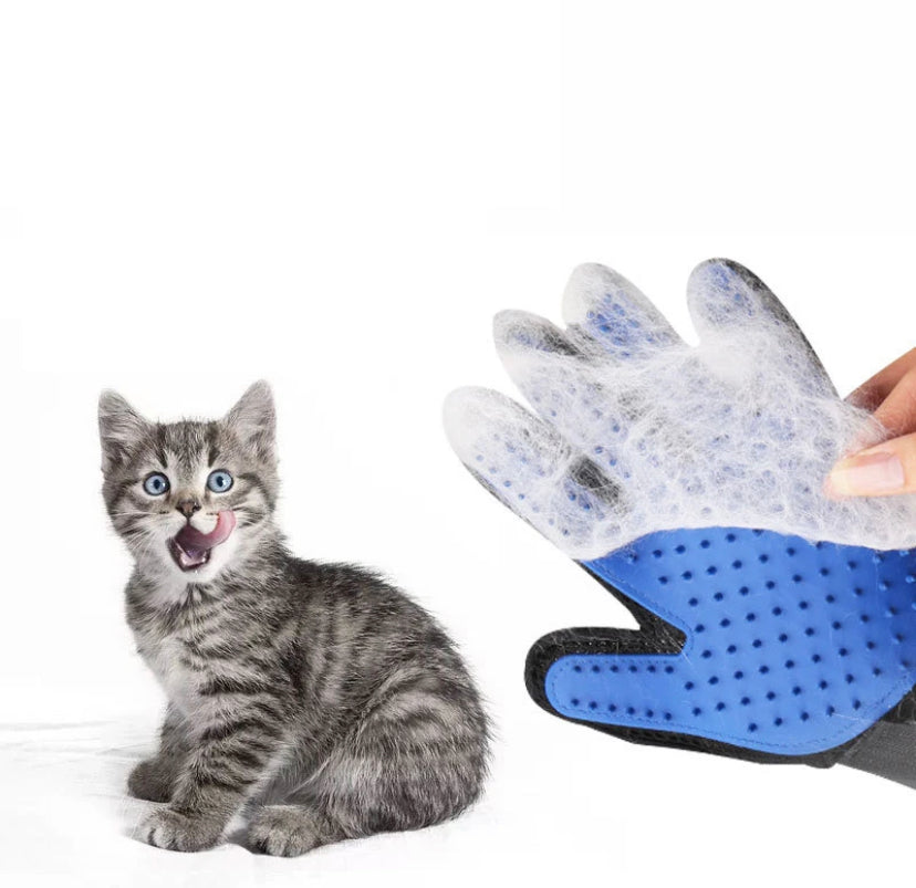 Grooming glove