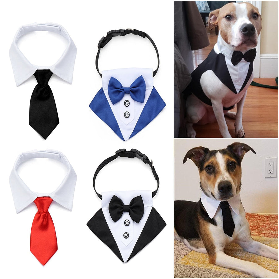 Cute Pawtner Necktie