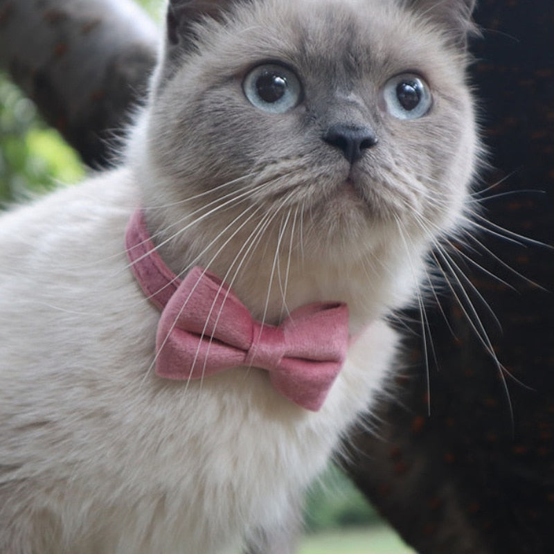 red bowknot