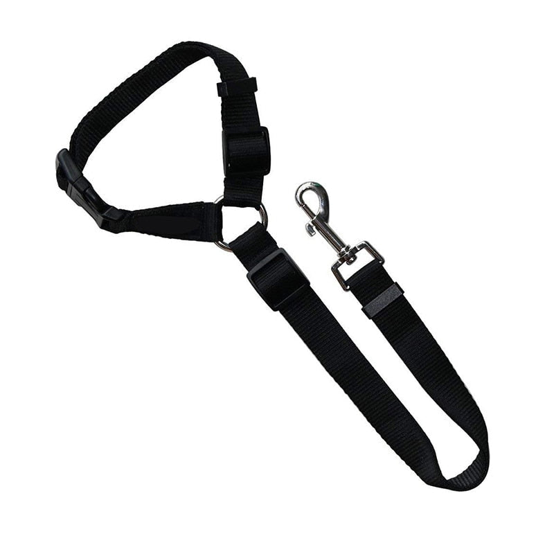 Black Seat Belt & Leash