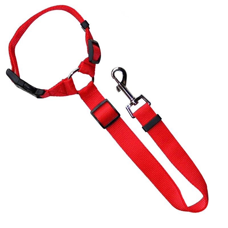 Red Seat Belt & Leash