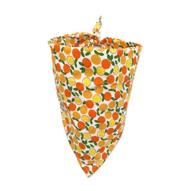 Oranges Bandana