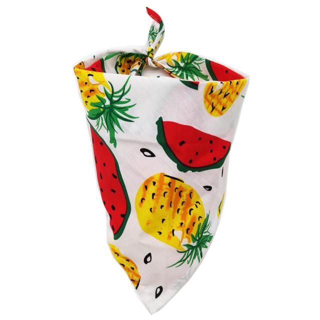 Watemelon & Pineapple Bandana