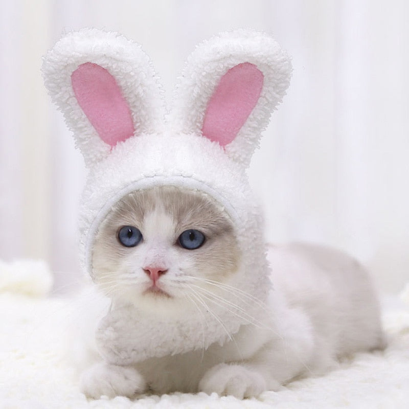 Bunny Pet Caps