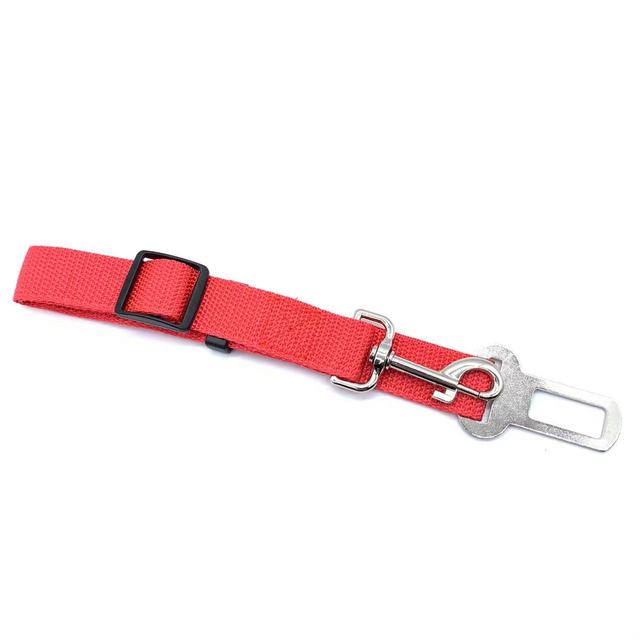 Dog Collar and Seat Belt New Vehicle Car