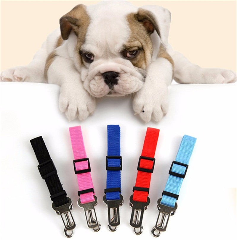 Dog Collar and Seat Belt New Vehicle Car